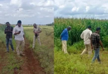 ದಾವಣಗೆರೆ | ಜಮೀನಿನಲ್ಲಿ ಕೆಲಸ ಮಾಡುತ್ತಿದ್ದ ರೈತನ ಮೇಲೆ ಚಿರತೆಯ ದಾಳಿ davanagere-leopard-attacks-on-farmer