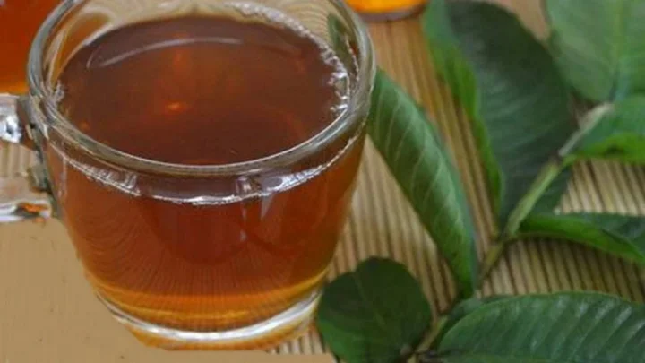 “ಮಳೆಗಾಲದಲ್ಲಿ ಪೇರಲ ಎಲೆಯ ಚಹಾ ಕುಡಿಯೋದು ಆರೋಗ್ಯಕ್ಕೆ ವರದಾನ!”