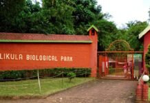 ಪಿಲಿಕುಳ ಮೃಗಾಲಯ ತಕ್ಷಣ ಮುಚ್ಚುವಂತೆ ನ್ಯಾಯಾಲಯ ಆದೇಶ!