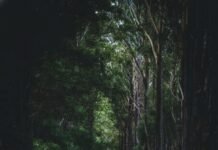 ಸ್ನಾನದ ಕೈ ಬದಲಾದಾಗ..!