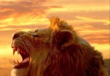 ಅಹಂಕಾರ ಸಲ್ಲದು